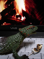 trippycomputercamping.jpg